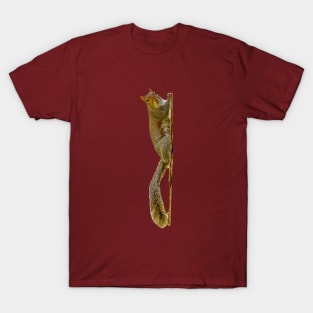 I am watching you Squirrel T-Shirt